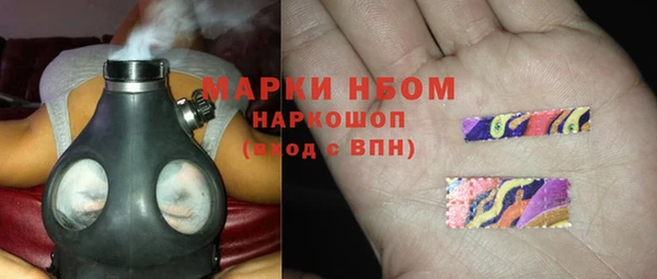 шишки Баксан