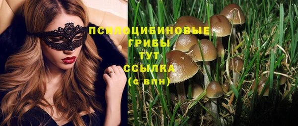 соль курить ск Балабаново