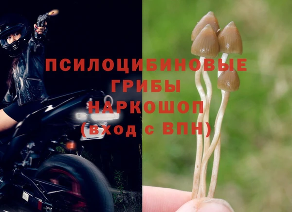 соль курить ск Балабаново