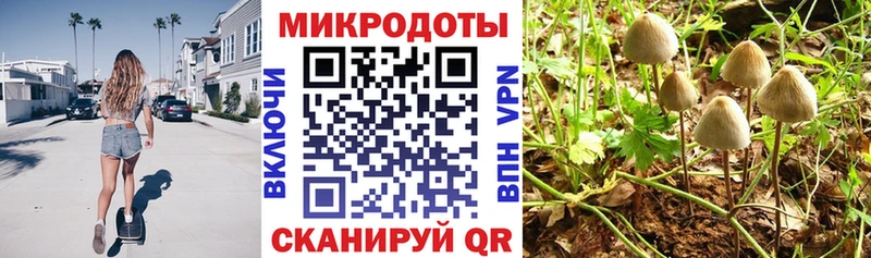 где купить наркотик  hydra ТОР  Псилоцибиновые грибы мухоморы  Обь 